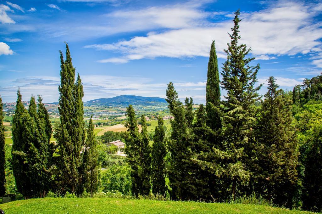 La Finestra Sul Conero Bed & Breakfast Castelfidardo Luaran gambar